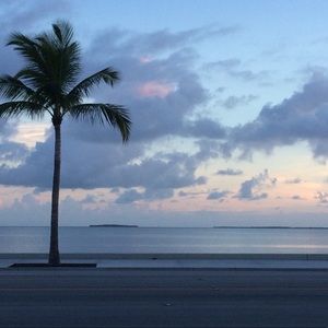 Meet your Posher, Heidi-rose